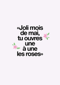 Beaut&eacute; florale du mois de mai